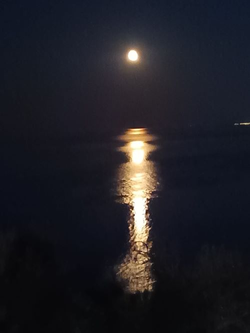 Riflesso di luna sul mare dell'Adriatico per il messaggio di Ferragosto della Diplomazia dei Sentimenti